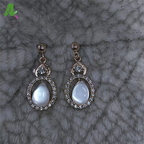 Jewels Elegant Rhinestone Studded Drop Earrings