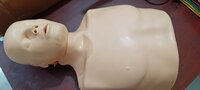 CPR Training Manikin