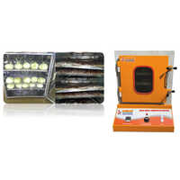 Black Garlic Fermentation Machine - Stainless Steel 304/316, 10kg To 500kg Capacity | Digital Pid Controller, Forced Air Circulation, Audio/visual Alarms