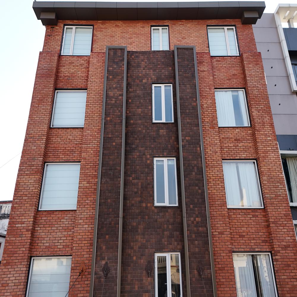 Country Blend Facing Bricks - Feature: Acid-resistant