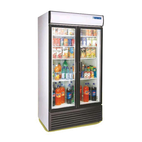 Double Door Visi Coolers - Color: Silver