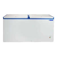 Double Door Deep Freezer