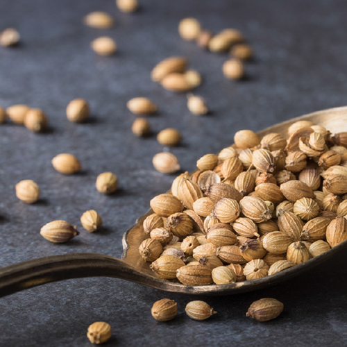 Coriander Seeds - Grade: Food Grade