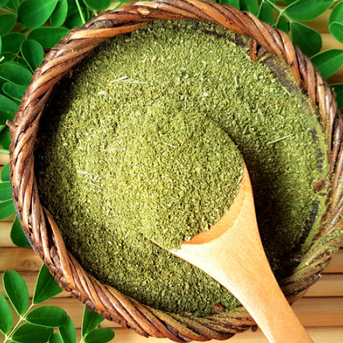 Moringa Powder - Cultivation Type: Common