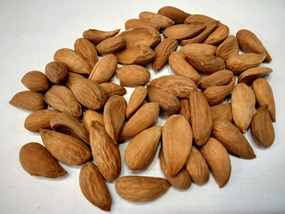 Kashmiri Mamra Almonds