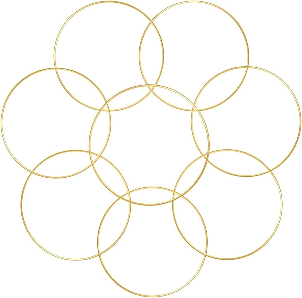 8 PCS 8 Inch Gold Metal Floral Hoop Wreath Macrame Gold Hoop Rings for DIY Home Decorations