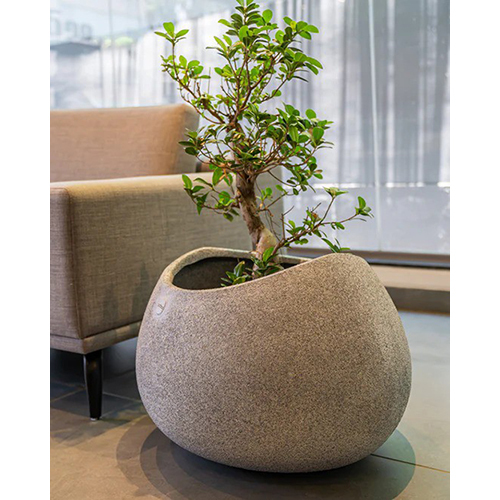 Designer Planters - Color: Brown