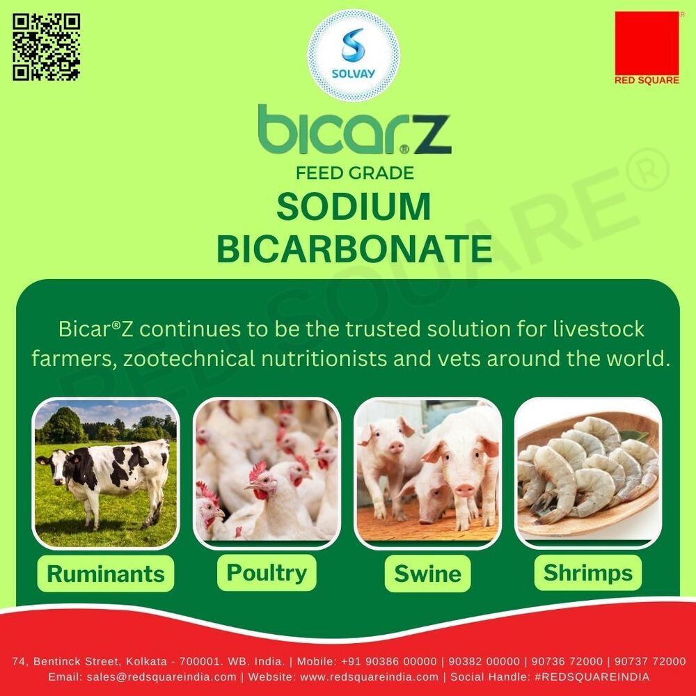 Sodium Bicarbonate - Feed Grade - Solvay