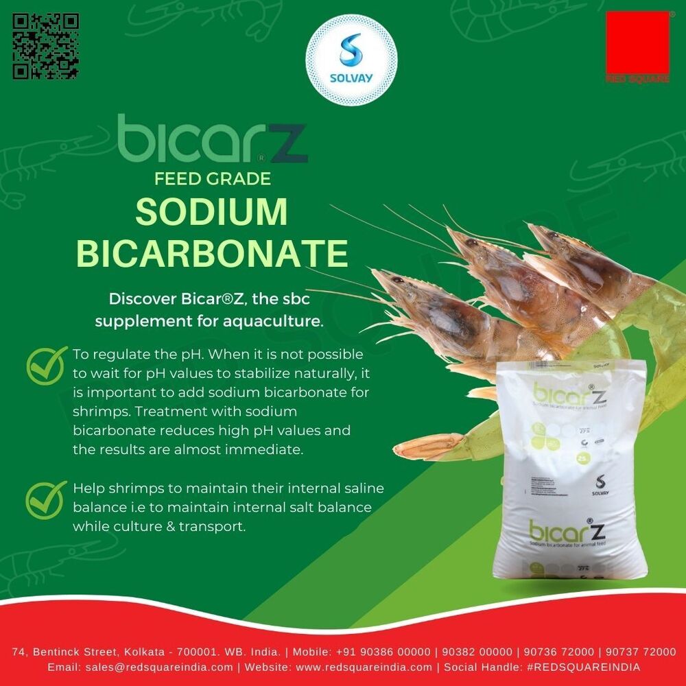 Sodium Bicarbonate - Feed Grade - Solvay