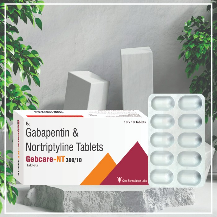 Nortriptyline Hydrochloride IP eq. to Nortriptyline 10mg + Gabapentin IP 300mg