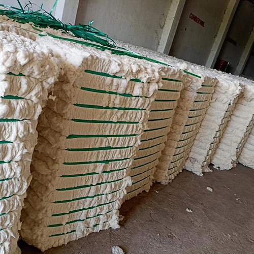 White Comber Cotton