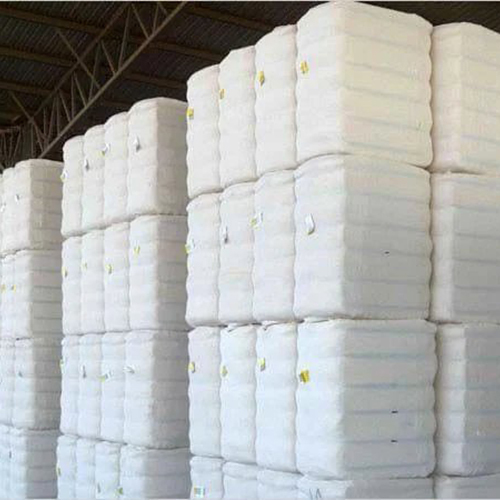 White Desi Cotton
