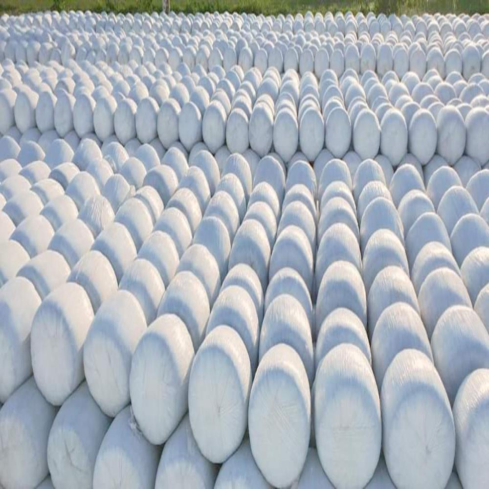 Corn Silage - Color: Green