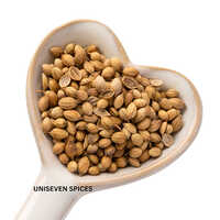 Coriander Seeds
