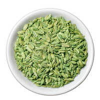 Fennel Powder
