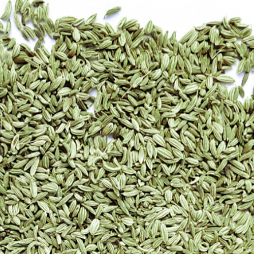 Fennel Seeds - Grade: Food Grade