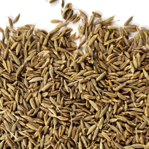 Cumin Seeds - Grade: Food Grade