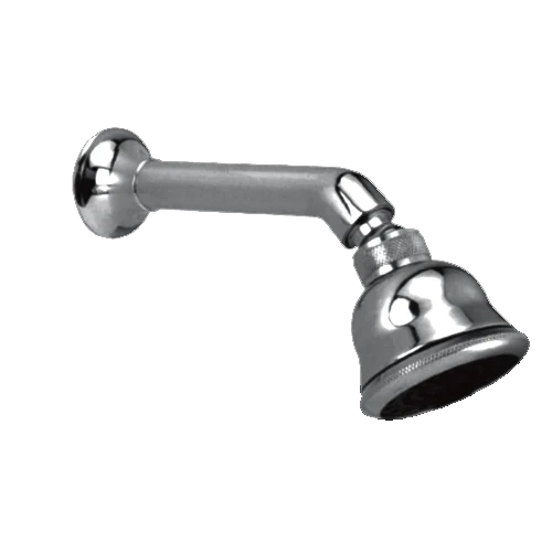 BS0207 Overhead Shower