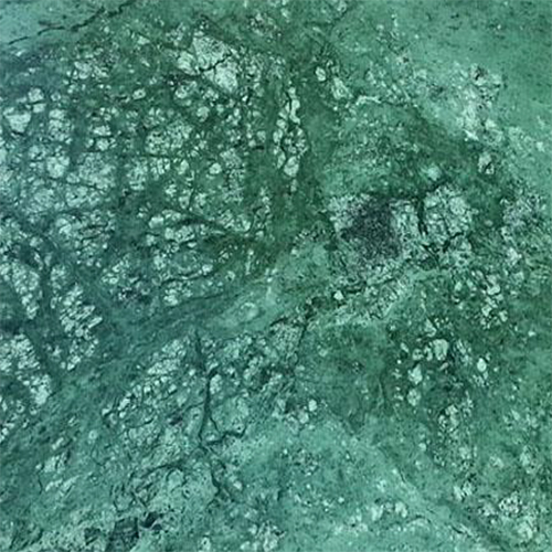 Indian Green Marble - Size: 24 X 24 Inches