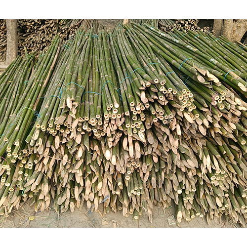 10 Feet Bamboo Sticks