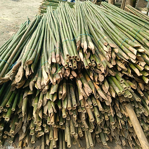 12 Feet Bamboo Sticks