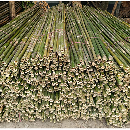 8 Feet Bamboo Sticks