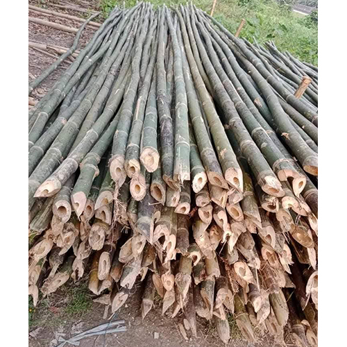 24 Feet Dilax Bamboo Sticks