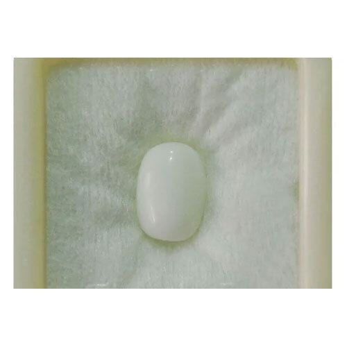 White Coral Moonga Gemstone