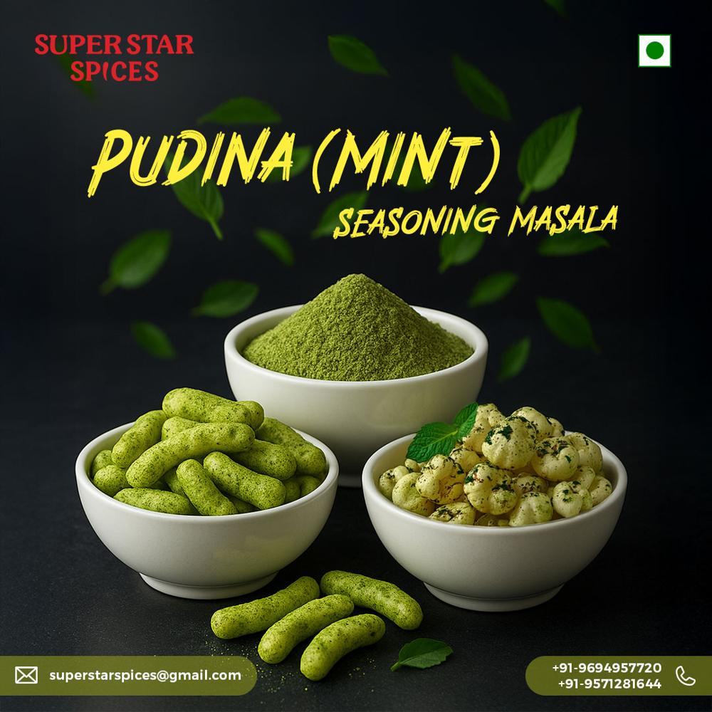 Pudina Seasoning Masala