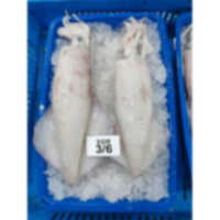 Frozen Squid - Cooked, Fried Body Parts | Food Grade, 1-3 Months Shelf Life, Ideal For Meal Preparations, Deliciously Crisp And Savory