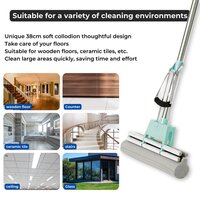Dry Sponge Mop