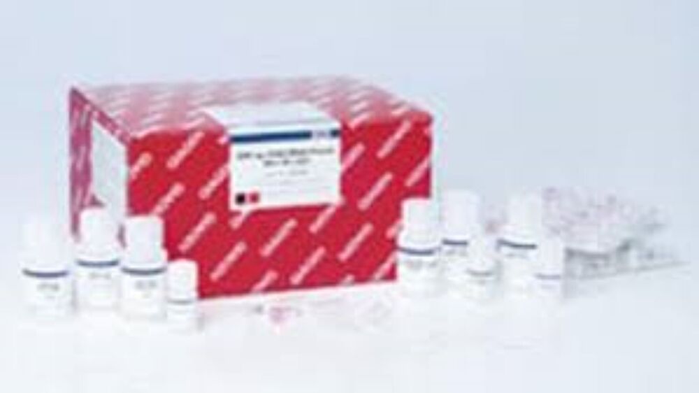 AllPrep Bact. DNA/RNA/Protein Kit (50)