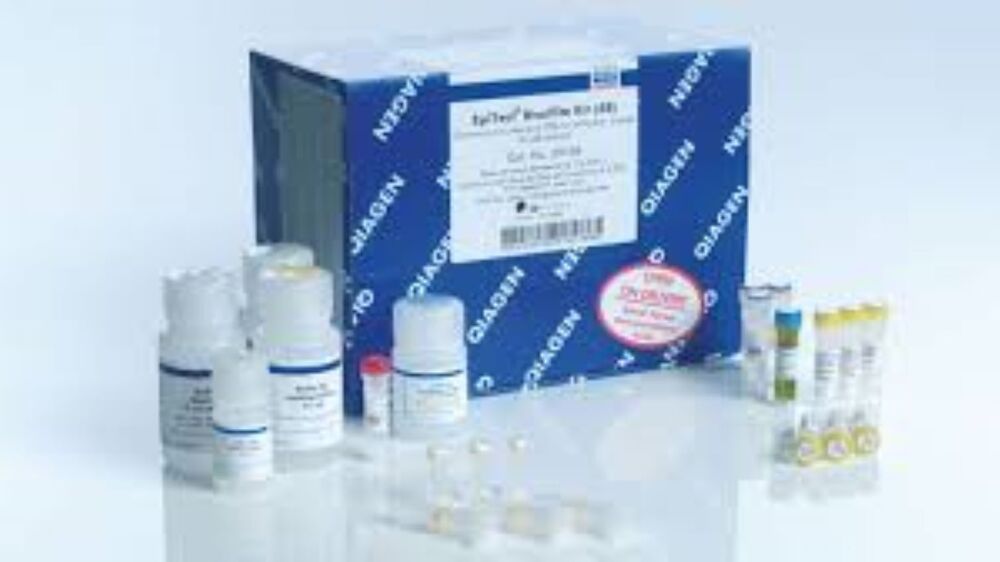 Epitect Bisulfite Kit (48)