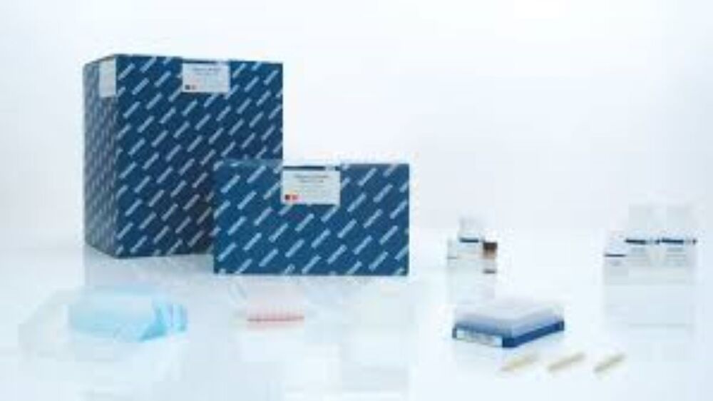 Dyeex 96 Kit (24)