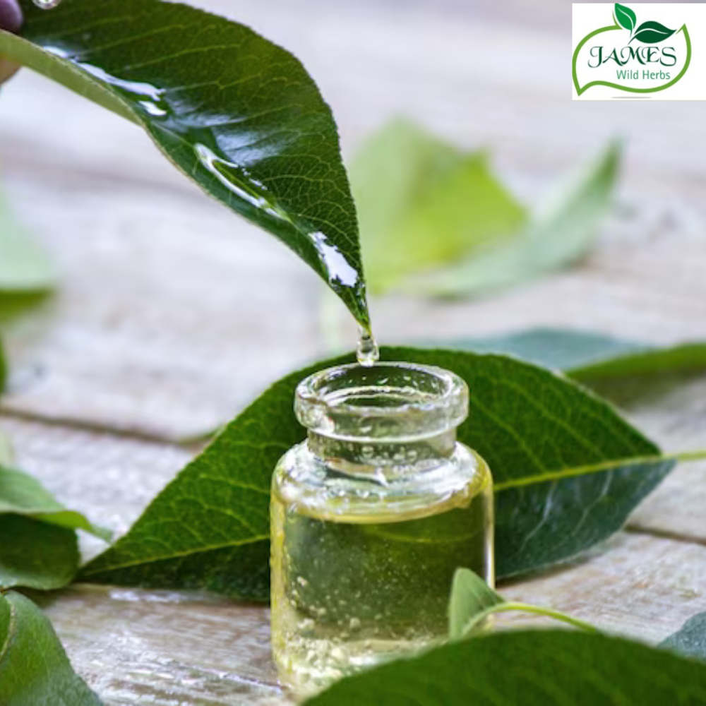 Almond Cold Press Oil - Cultivation Type: Common