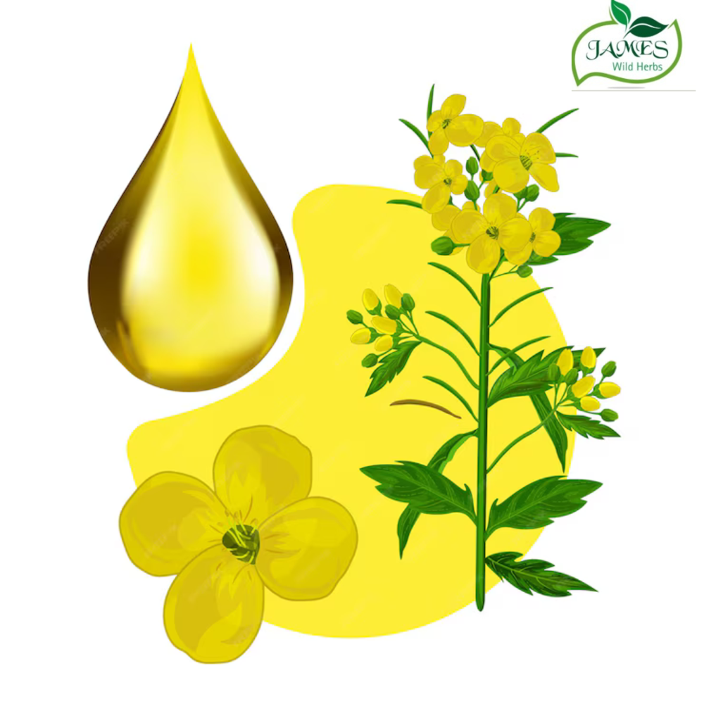 Arnica Cold Press Oil