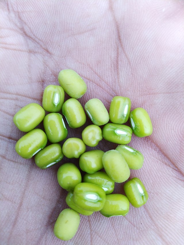 Thiamine from Mung bean