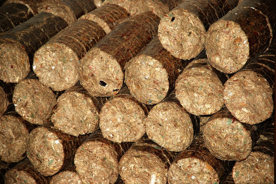 90 mm Mustard Biomass briquettes