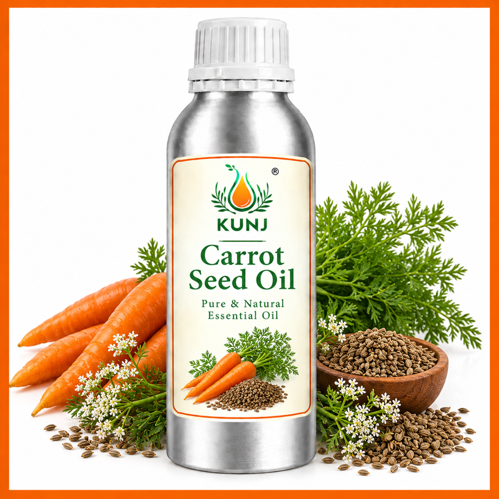 Carrot Seed Oil - 100% Pure Liquid, Fresh Odor | Shelf Life Up to 24 Months, Store in Dry Place for Optimal Quality