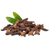 Clove Bud Oil