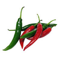Chilli Oil - 100% Pure Ingredients, Liquid Form, Fresh Odour, 24-month Shelf Life, Store In Dry Place For Longer Freshness