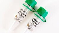 NEBNextAR End Repair Reaction Buffer - 2 ml