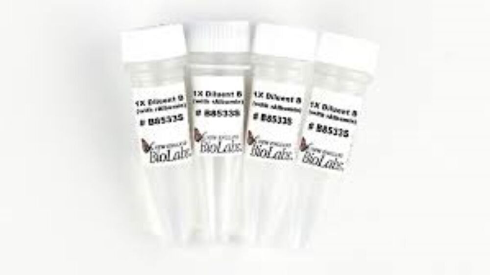 Diluent B (with rAlbumin) - 5 ml