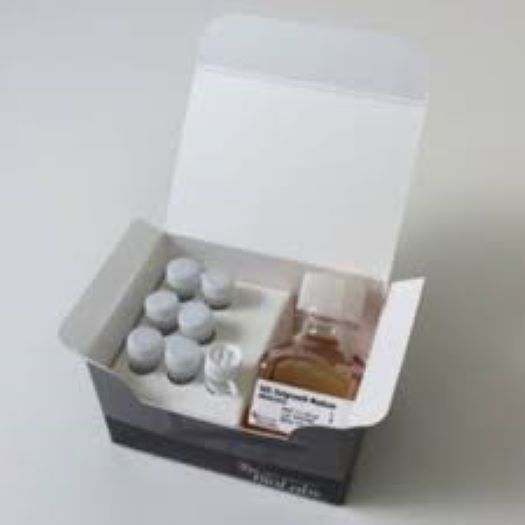 T7 Express lysY/Iq Competent E. coli (उच्च दक्षता) - 6 x 0.2 मिलीलीटर