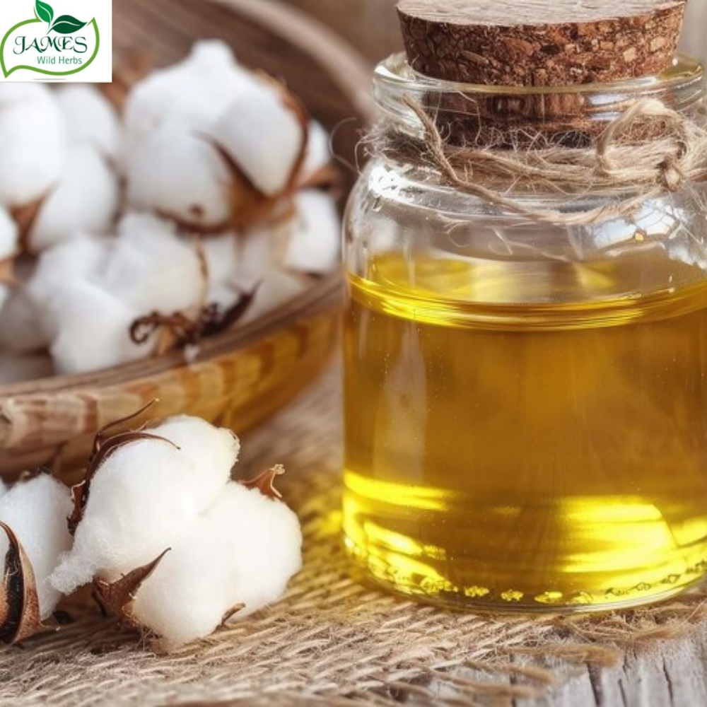 Cotton Seed Cold Press Oil - Cultivation Type: Common