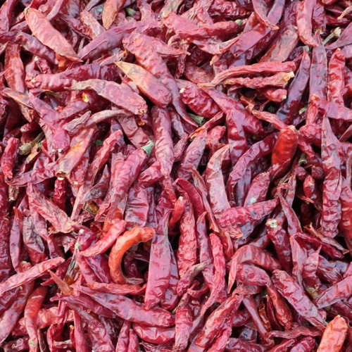 Teja Chili Powder - Food Grade Powder, Red Color, Spicy Flavor | Ideal for Various Dishes, 1 Year Shelf Life, Store in Dry Place