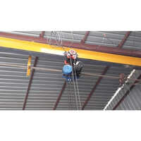 1 Ton Motorized Chain Hoist