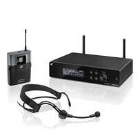 Microphone System