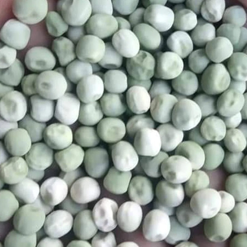 M 7 Natural Green Pea Seeds