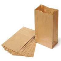 Brown Paper Pouch - Biodegradable Kraft Paper, Customized Size & Design, Classic Brown Color, 1 KG Max Load, Matte Finish